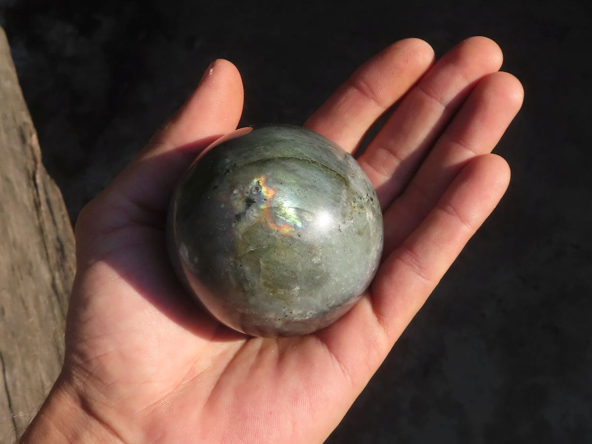 Polished Rare Flashy Labradorite Spheres x 6 From Tulear, Madagascar - Toprock Gemstones and Minerals 