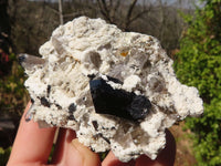 Natural Schorl Black Tourmaline Specimens x 6 From Erongo, Namibia