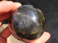 Polished Rare Flashy Labradorite Spheres x 6 From Tulear, Madagascar - Toprock Gemstones and Minerals 