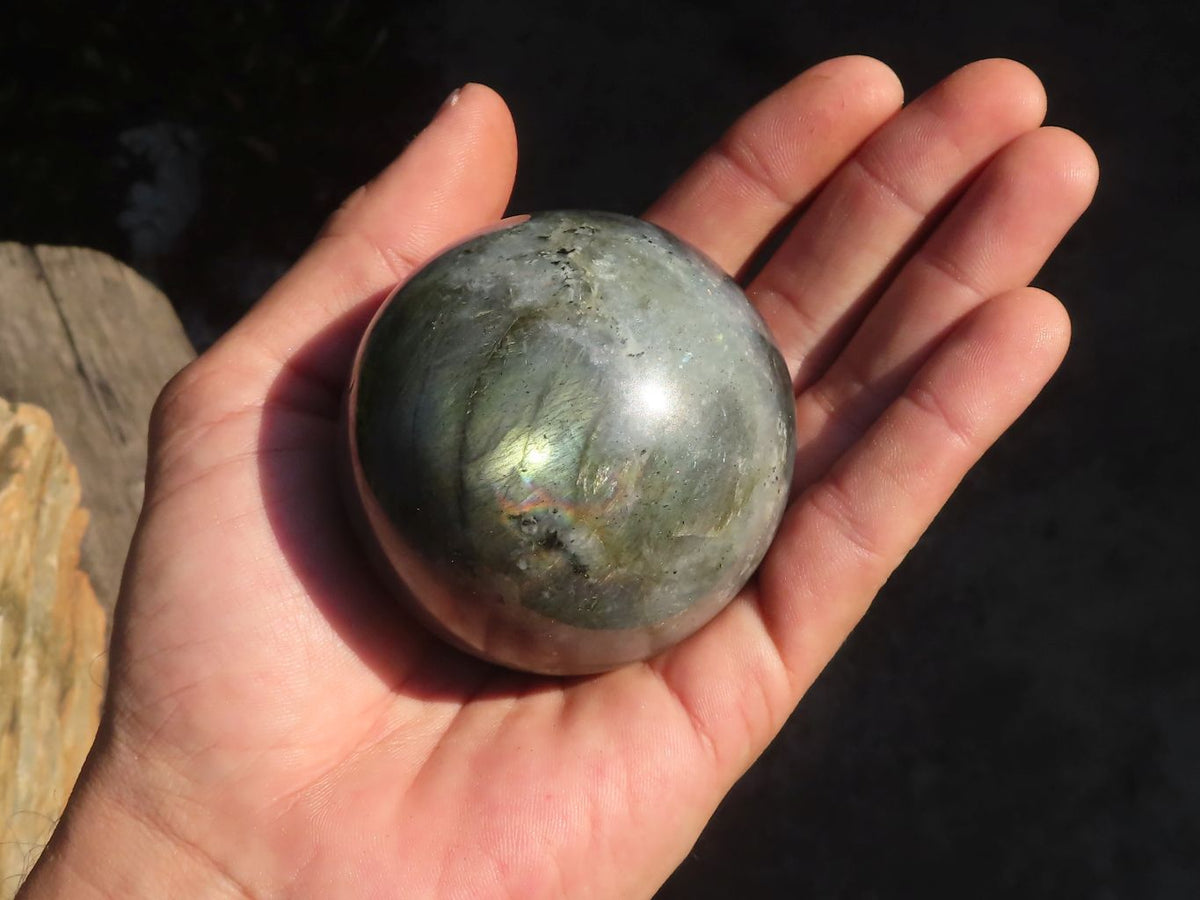 Polished Rare Flashy Labradorite Spheres x 6 From Tulear, Madagascar - Toprock Gemstones and Minerals 