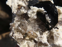 Natural Schorl Black Tourmaline Specimens x 6 From Erongo, Namibia