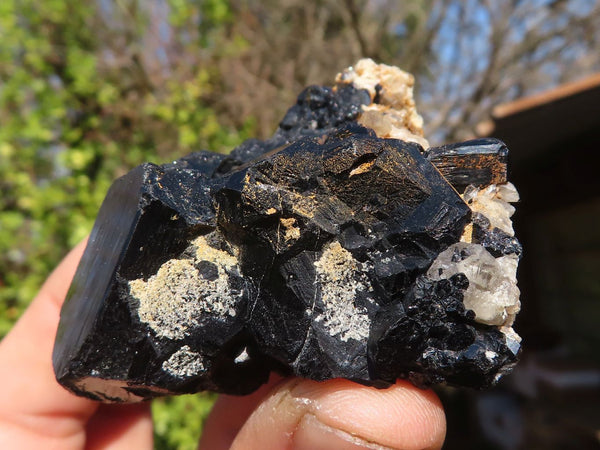 Natural Schorl Black Tourmaline Specimens x 6 From Erongo, Namibia