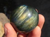 Polished Rare Flashy Labradorite Spheres x 6 From Tulear, Madagascar - Toprock Gemstones and Minerals 