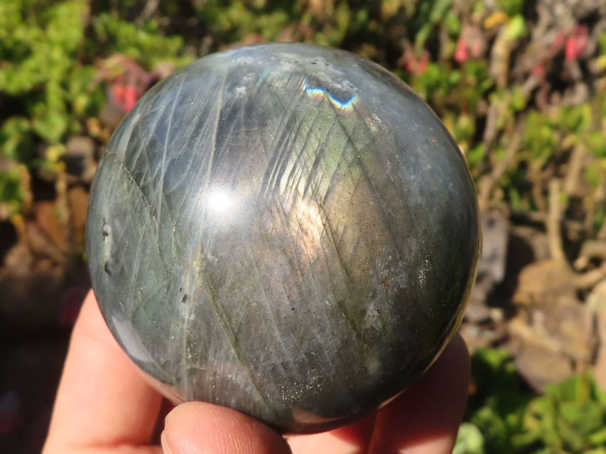 Polished Rare Flashy Labradorite Spheres x 6 From Tulear, Madagascar - Toprock Gemstones and Minerals 