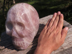 Polished XXL Pink Rose Quartz Skull Carving  x 1 From Madagascar - TopRock