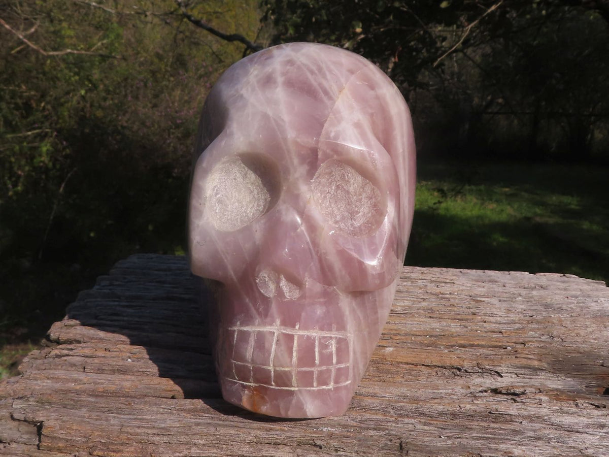 Polished XXL Pink Rose Quartz Skull Carving  x 1 From Madagascar - TopRock