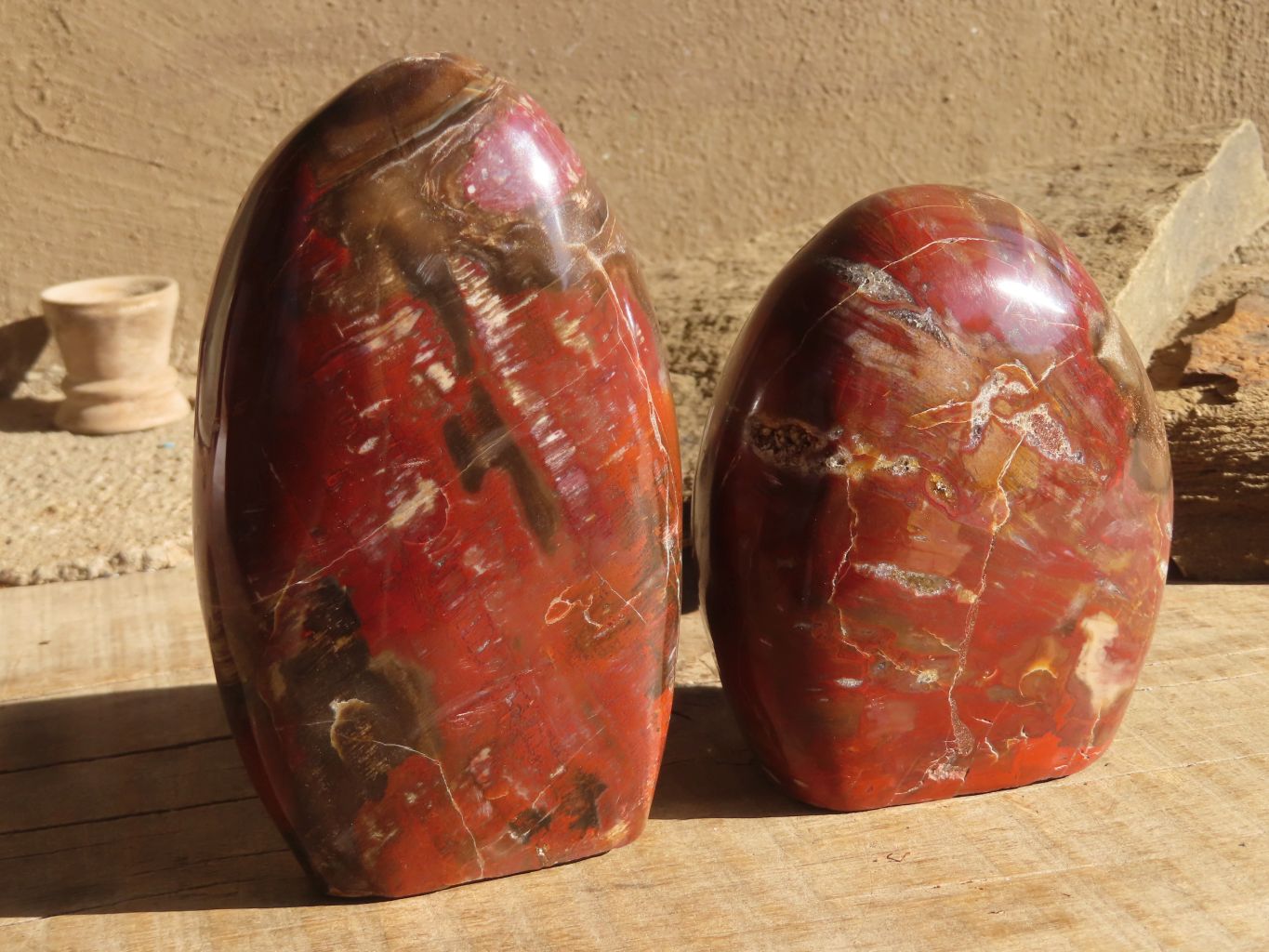 Polished Red Podocarpus Petrified Wood Standing Free Forms x 2 From Mahajanga, Madagascar - Toprock Gemstones and Minerals 
