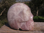 Polished XXL Pink Rose Quartz Skull Carving  x 1 From Madagascar - TopRock