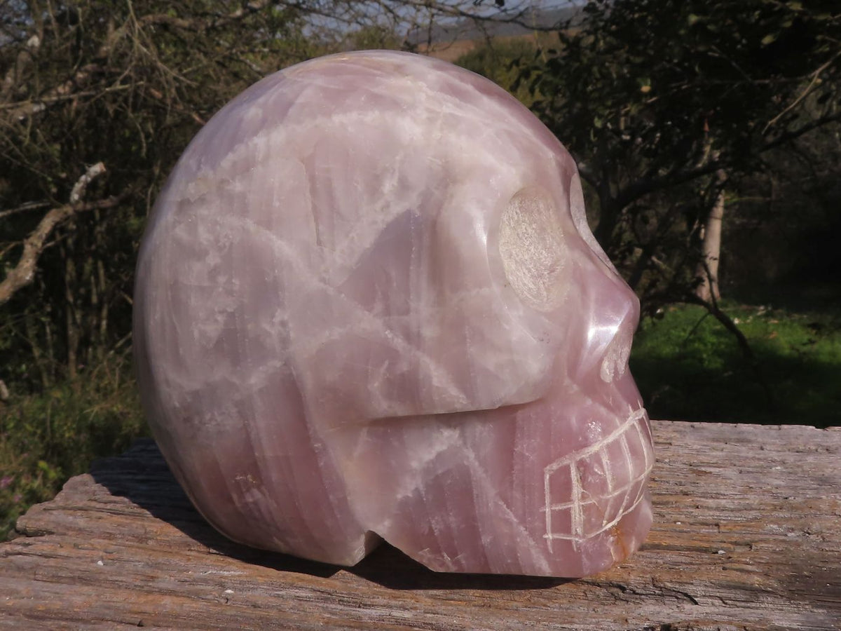 Polished XXL Pink Rose Quartz Skull Carving  x 1 From Madagascar - TopRock