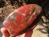 Polished Red Podocarpus Petrified Wood Standing Free Forms x 2 From Mahajanga, Madagascar - Toprock Gemstones and Minerals 