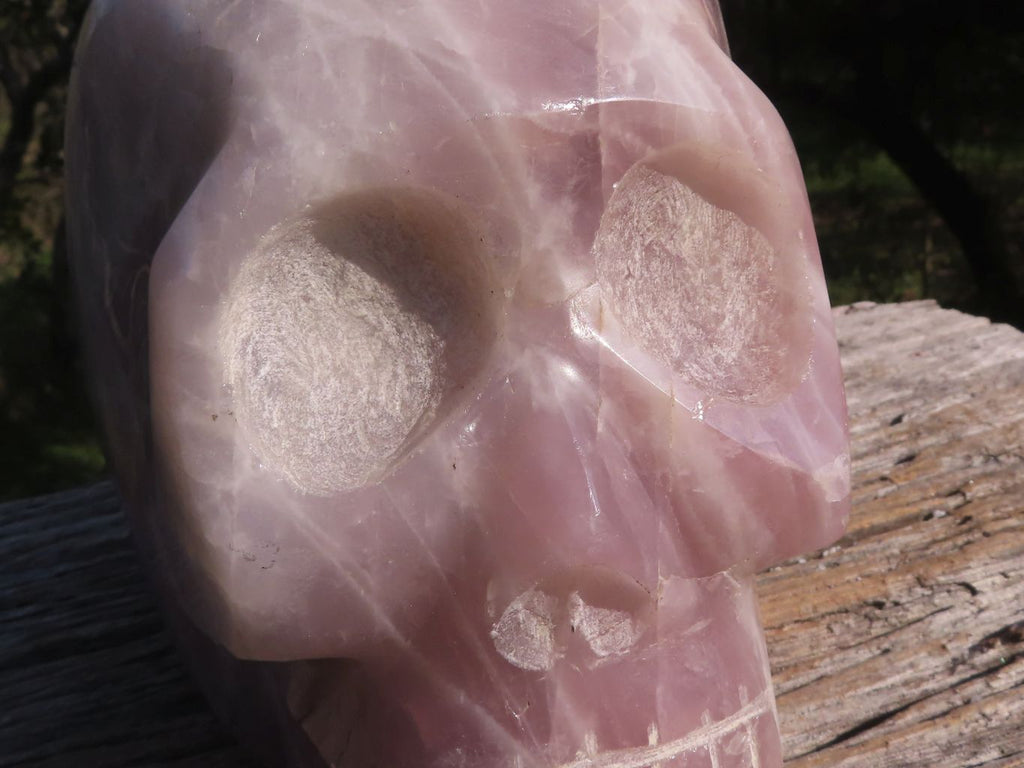 Polished XXL Pink Rose Quartz Skull Carving  x 1 From Madagascar - TopRock