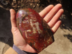 Polished Red Podocarpus Petrified Wood Standing Free Forms x 2 From Mahajanga, Madagascar - Toprock Gemstones and Minerals 