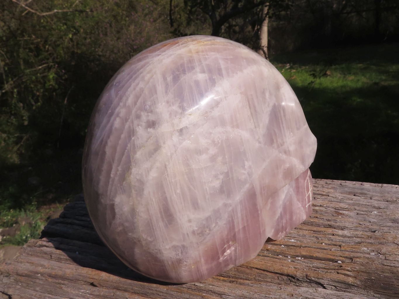 Polished XXL Pink Rose Quartz Skull Carving  x 1 From Madagascar - TopRock
