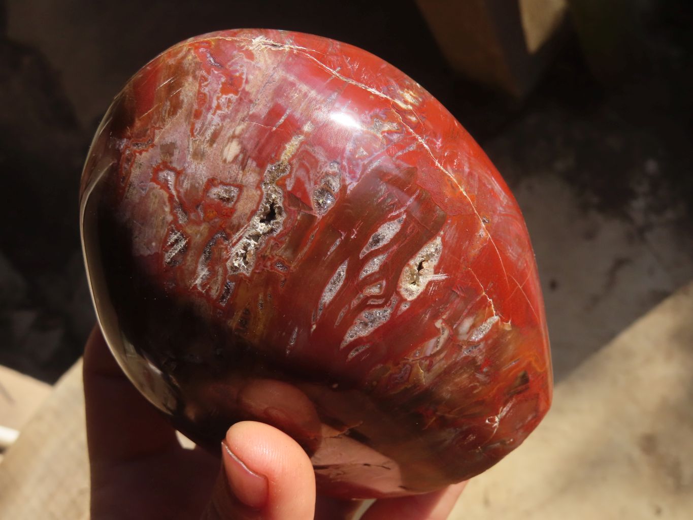 Polished Red Podocarpus Petrified Wood Standing Free Forms x 2 From Mahajanga, Madagascar - Toprock Gemstones and Minerals 