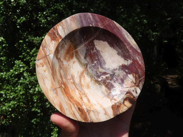 Polished Petrified Red Podocarpus Wood Bowl x 1 From Madagascar - TopRock