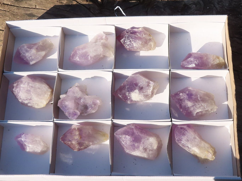 Natural Single Jacaranda Amethyst Crystals x 12 From Zambia - Toprock Gemstones and Minerals 