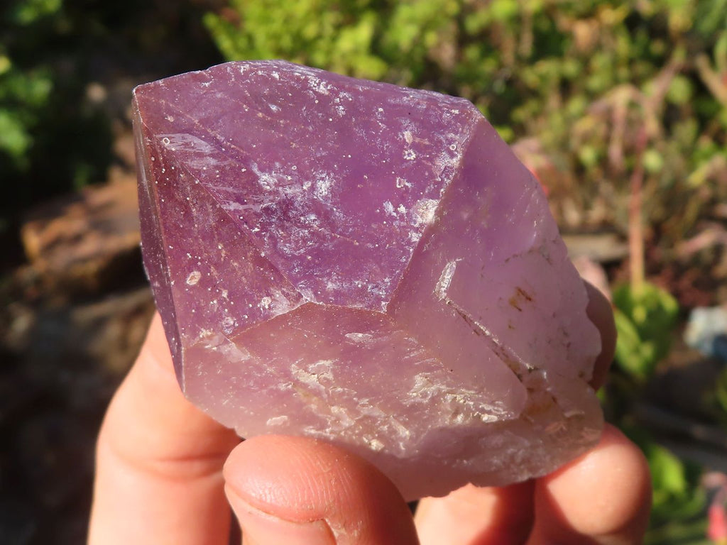 Natural Single Jacaranda Amethyst Crystals x 12 From Zambia - Toprock Gemstones and Minerals 