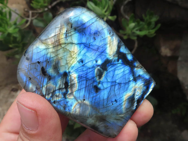 Polished Labradorite Standing Free Forms With Intense Blue Flash x 6 From Tulear, Madagascar - TopRock
