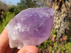 Natural Single Jacaranda Amethyst Crystals x 12 From Zambia - Toprock Gemstones and Minerals 