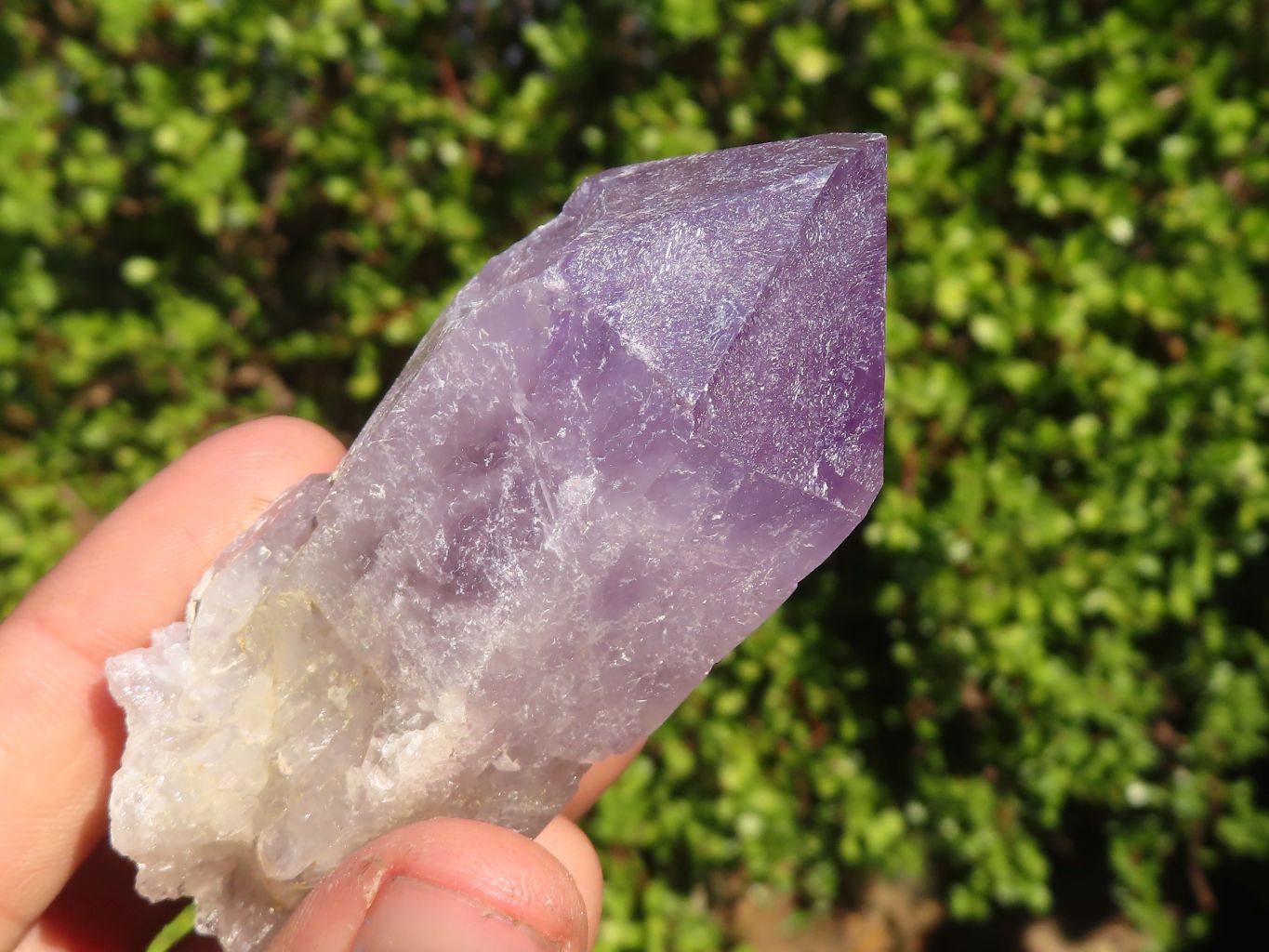 Natural Single Jacaranda Amethyst Crystals x 12 From Zambia - Toprock Gemstones and Minerals 