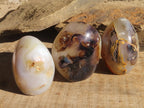 Polished Agate Standing Free Forms x 6 From West Coast, Madagascar - Toprock Gemstones and Minerals 