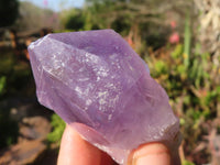 Natural Single Jacaranda Amethyst Crystals x 12 From Zambia - Toprock Gemstones and Minerals 