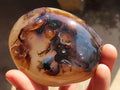 Polished Agate Standing Free Forms x 6 From West Coast, Madagascar - Toprock Gemstones and Minerals 
