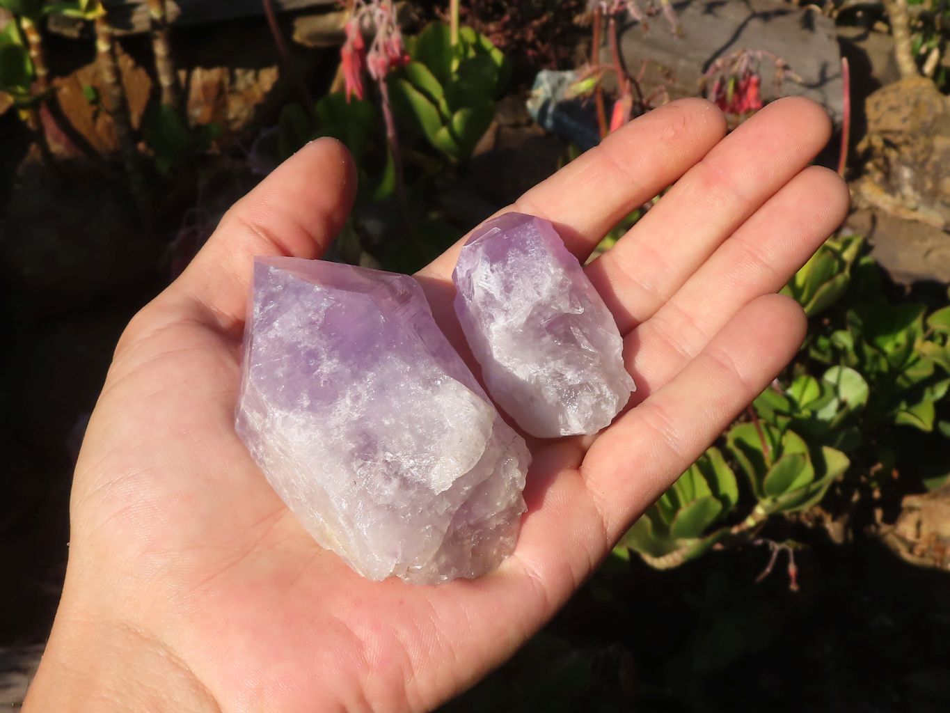 Natural Single Jacaranda Amethyst Crystals x 12 From Zambia - Toprock Gemstones and Minerals 