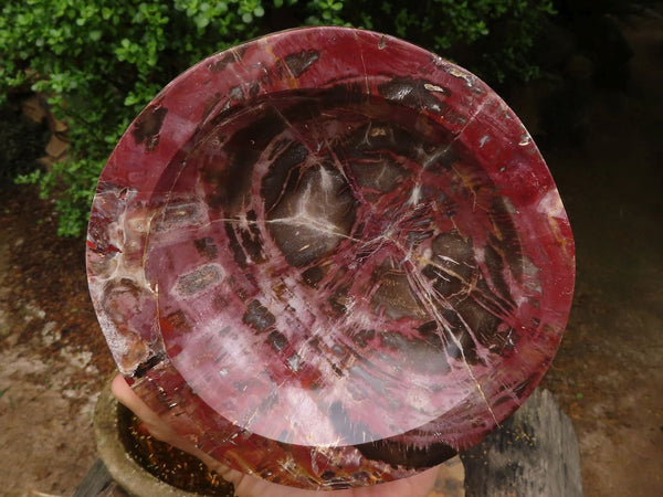 Polished Petrified Red Podocarpus Wood Bowl x 1 From Madagascar - TopRock
