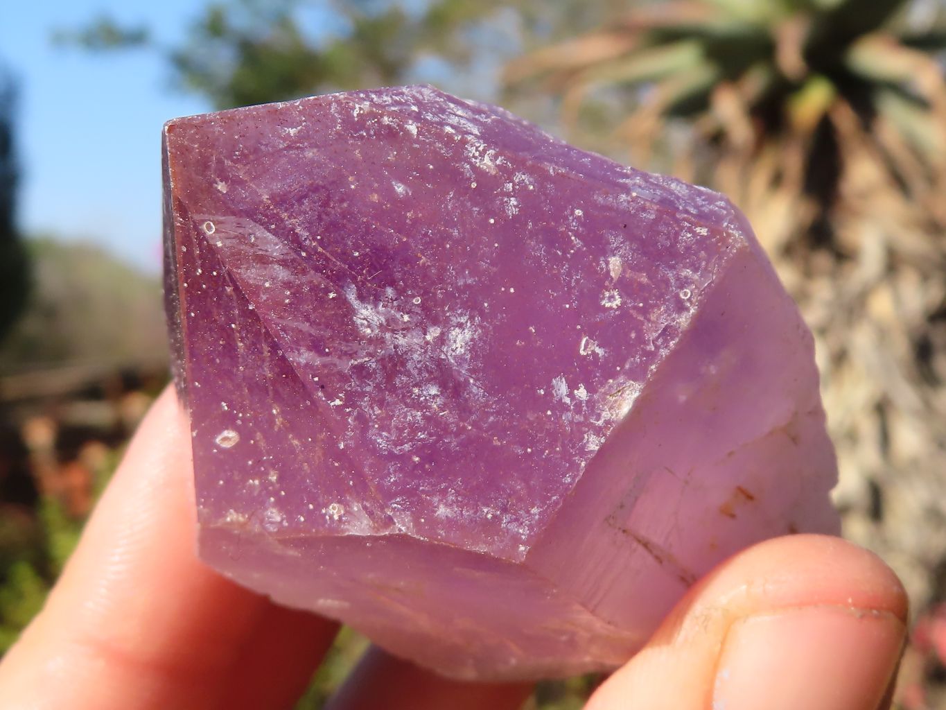 Natural Single Jacaranda Amethyst Crystals x 12 From Zambia - Toprock Gemstones and Minerals 