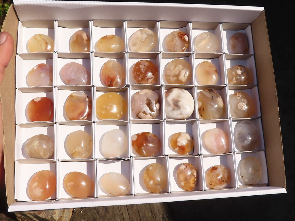 Polished  Small Ocean  Flower Agate Palm Stones  x 35 From Madagascar - Toprock Gemstones and Minerals 