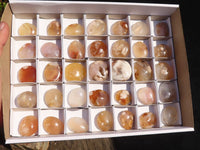 Polished  Small Ocean  Flower Agate Palm Stones  x 35 From Madagascar - Toprock Gemstones and Minerals 