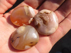 Polished  Small Ocean  Flower Agate Palm Stones  x 35 From Madagascar - Toprock Gemstones and Minerals 