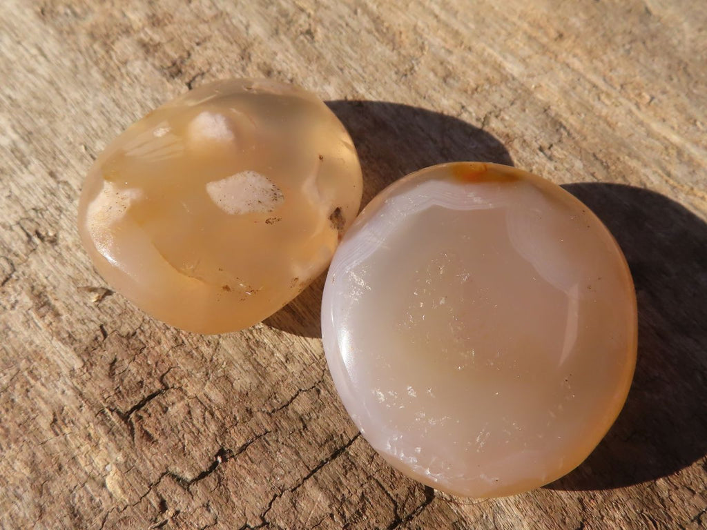 Polished  Small Ocean  Flower Agate Palm Stones  x 35 From Madagascar - Toprock Gemstones and Minerals 
