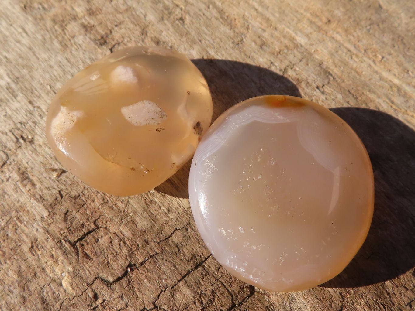 Polished  Small Ocean  Flower Agate Palm Stones  x 35 From Madagascar - Toprock Gemstones and Minerals 