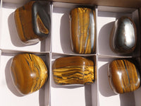 Polished Golden Tigers Eye Free Forms x 6 From Prieska, South Africa