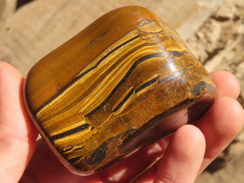 Polished Golden Tigers Eye Free Forms x 6 From Prieska, South Africa - Toprock Gemstones and Minerals 