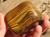 Polished Golden Tigers Eye Free Forms x 6 From Prieska, South Africa