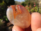 Polished  Small Ocean  Flower Agate Palm Stones  x 35 From Madagascar - Toprock Gemstones and Minerals 