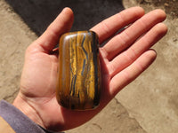 Polished Golden Tigers Eye Free Forms x 6 From Prieska, South Africa