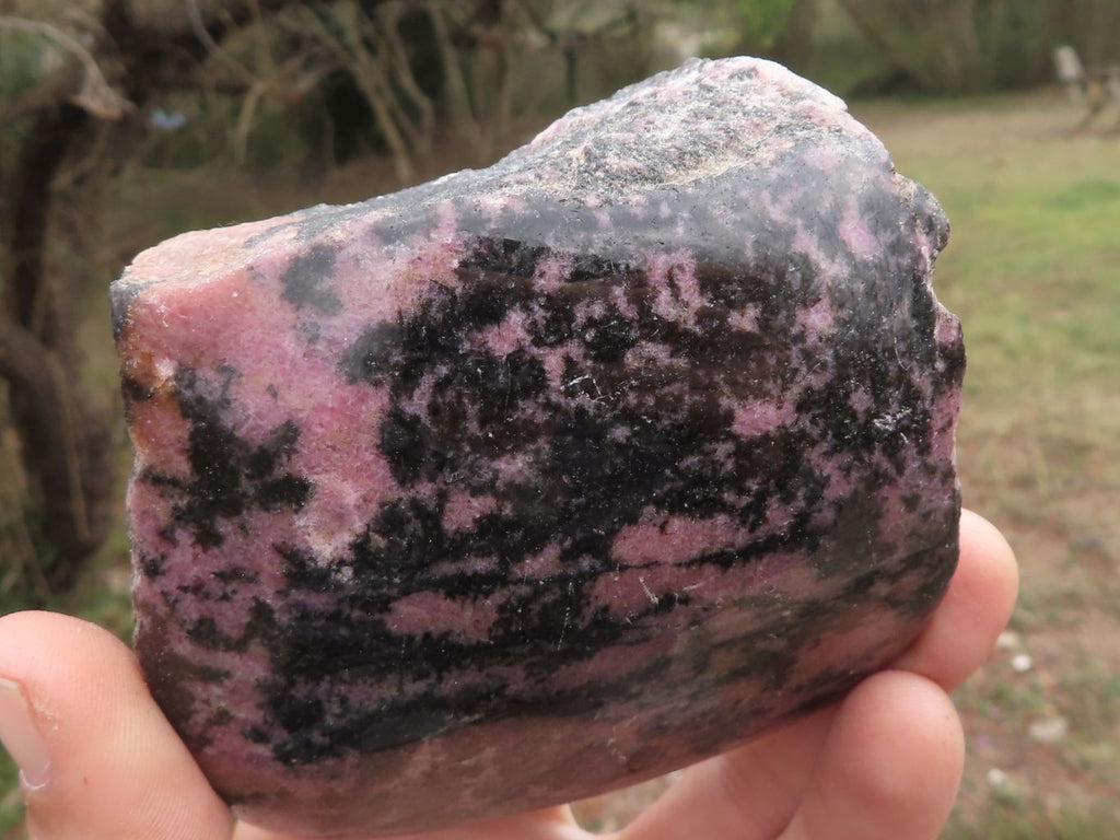 Polished Semi Polished Rhodonite Free Forms  x 4 From Madagascar - TopRock