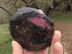 Polished Semi Polished Rhodonite Free Forms  x 4 From Madagascar - TopRock