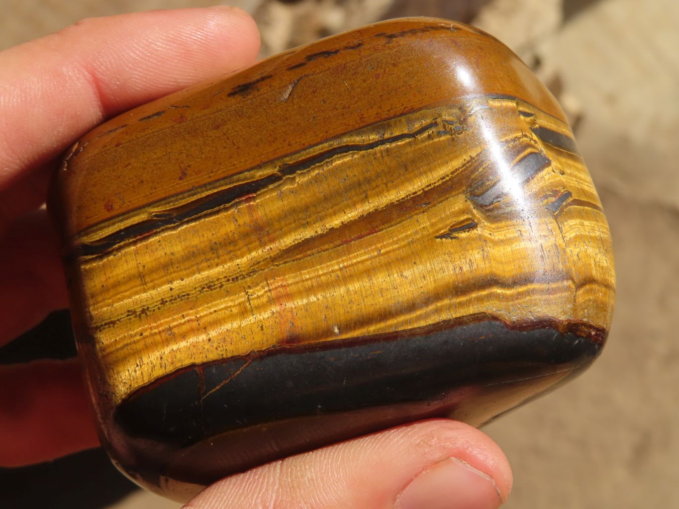 Polished Golden Tigers Eye Free Forms x 6 From Prieska, South Africa - Toprock Gemstones and Minerals 