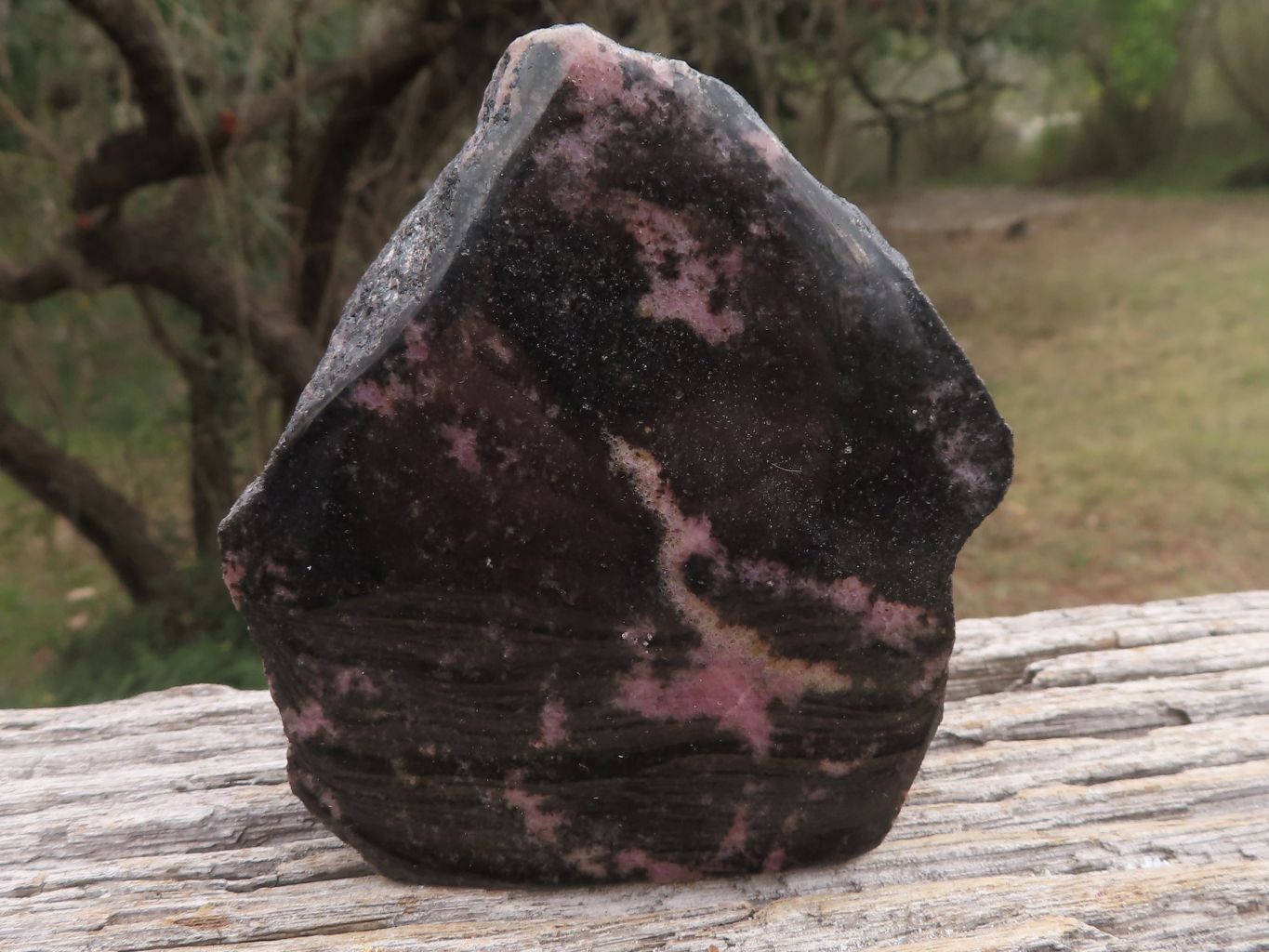 Polished Semi Polished Rhodonite Free Forms  x 4 From Madagascar - TopRock