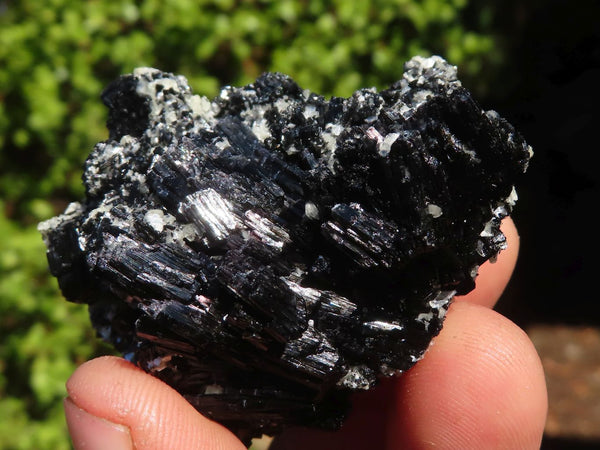 Natural Schorl Black Tourmaline Crystals  x 35 From Erongo, Namibia