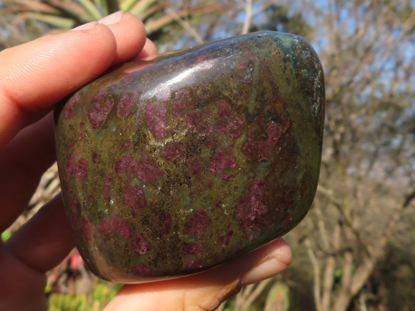 Polished  Fluorescent Ruby Corundum In Chrome Verdite Free Forms x 4 From Zimbabwe - Toprock Gemstones and Minerals 