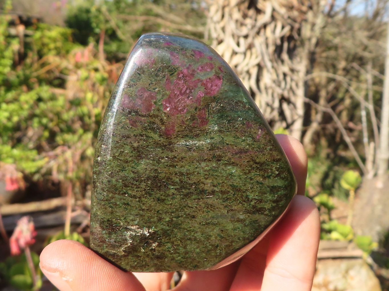 Polished  Fluorescent Ruby Corundum In Chrome Verdite Free Forms x 4 From Zimbabwe - Toprock Gemstones and Minerals 