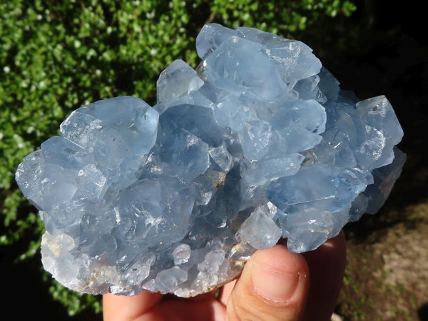 Natural Blue Celestite Crystal Specimens  x 3 From Madagascar - Toprock Gemstones and Minerals 