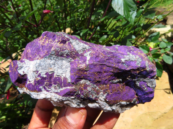 Natural  Manganese Phosphate With Heterosite/Metallic Purple In Black-Brown Ferro Manganese Matrix Purpurite Specimens x 6 From Namibia - TopRock
