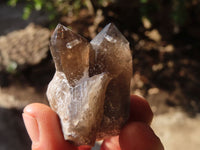 Natural Clear Smokey Quartz Crystals  x 12 From Malawi - Toprock Gemstones and Minerals 